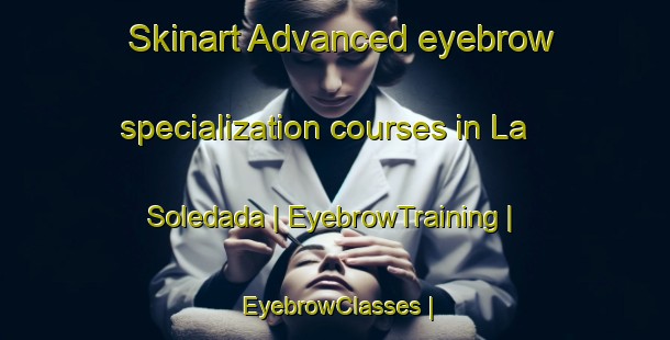 Skinart Advanced eyebrow specialization courses in La Soledada | EyebrowTraining | EyebrowClasses | SkinartTraining-Mexico